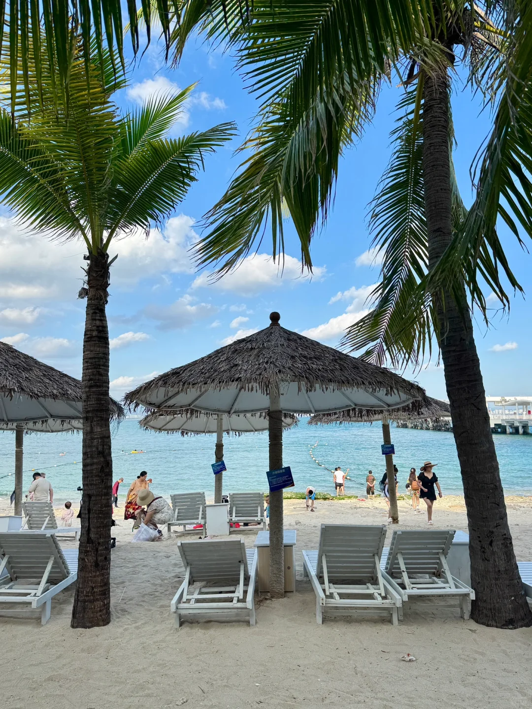 震惊😢这么全的西岛景点大合集（live版