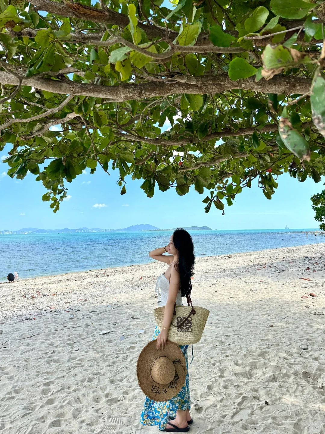 震惊😢这么全的西岛景点大合集（live版