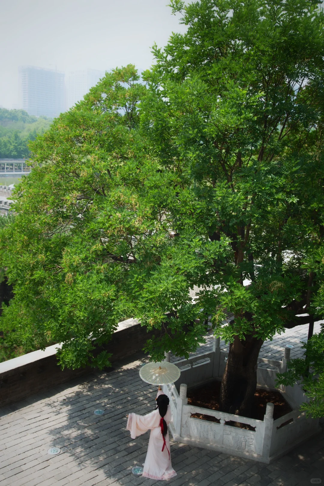 邯郸一日| 🌿武灵丛台➕邯郸市博物馆📜