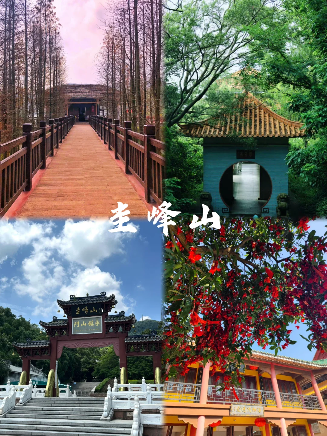 江门旅行🧳9大必打卡旅游景点看这里🔥