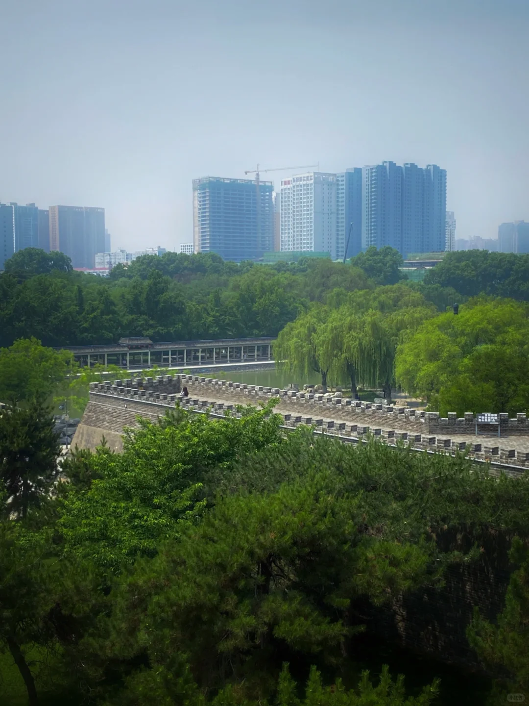邯郸一日| 🌿武灵丛台➕邯郸市博物馆📜