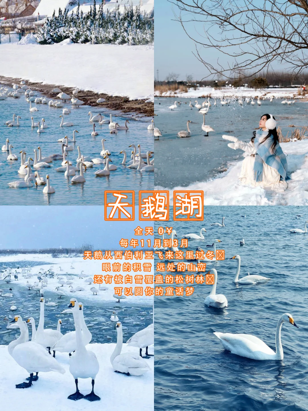 威海一日游不费脚路线攻略来喽！快🐴住！