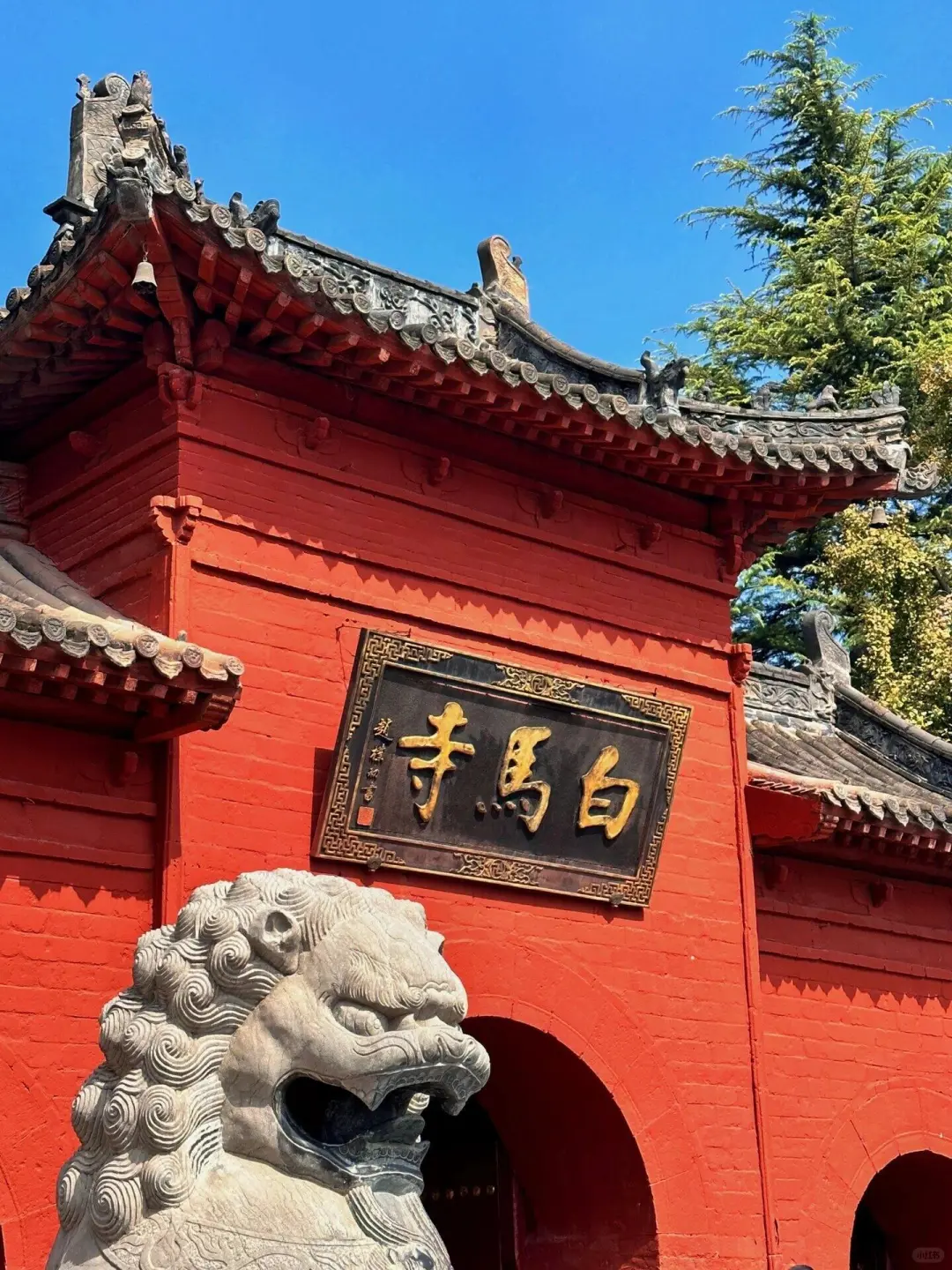 🎈洛阳 | 穿越千年的梦幻之旅✨