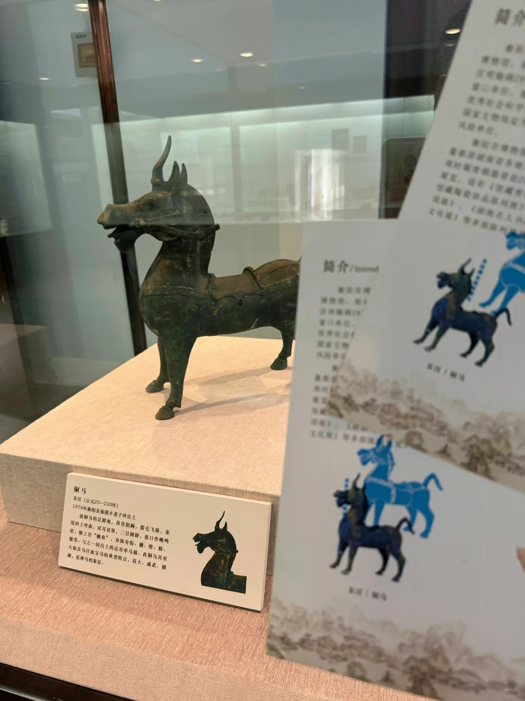 04男大📍衡阳两天一夜‼️超详细旅游攻略🔥