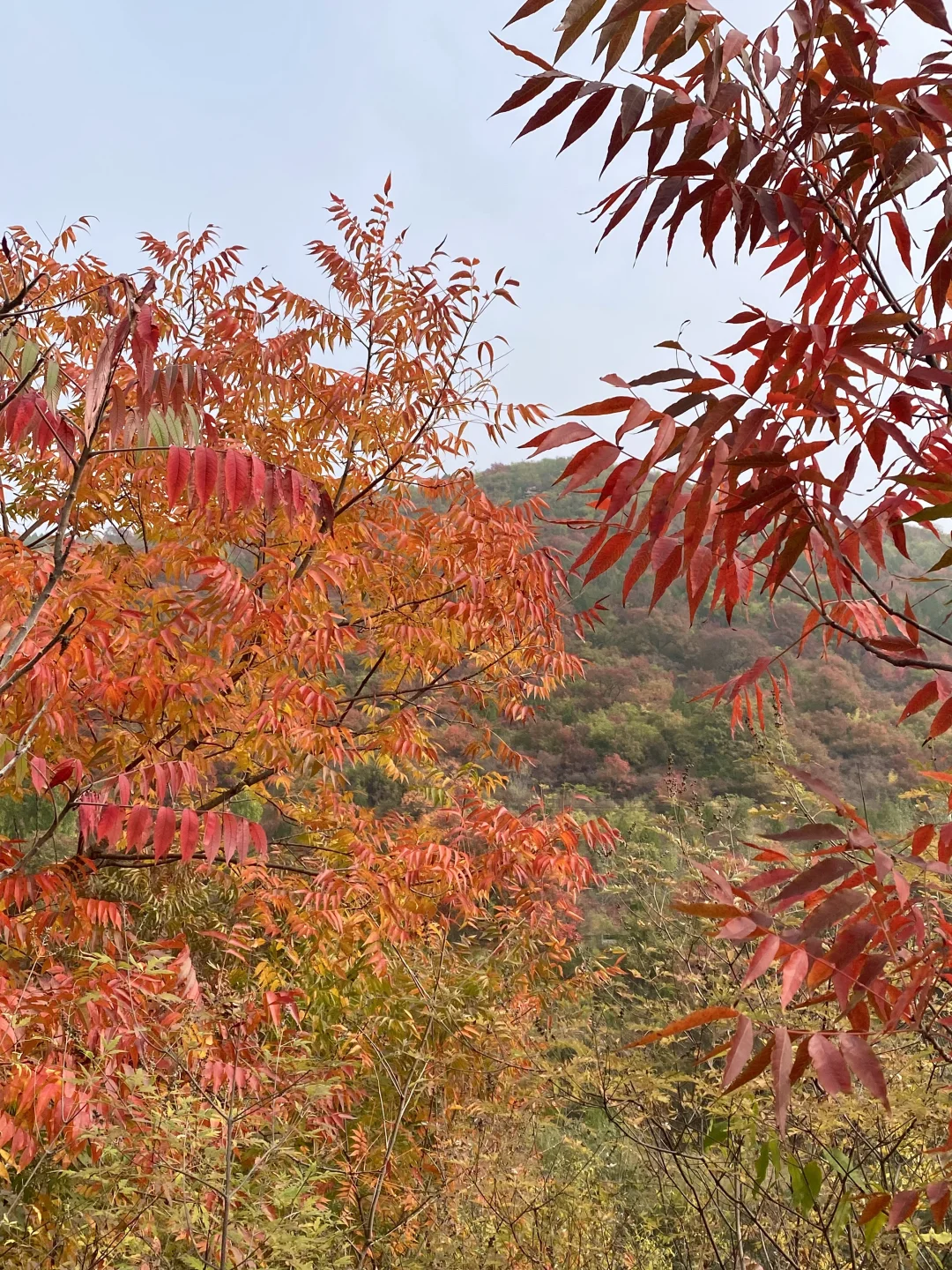 ｛小众景点｝北京自驾河北第5站—涉县
