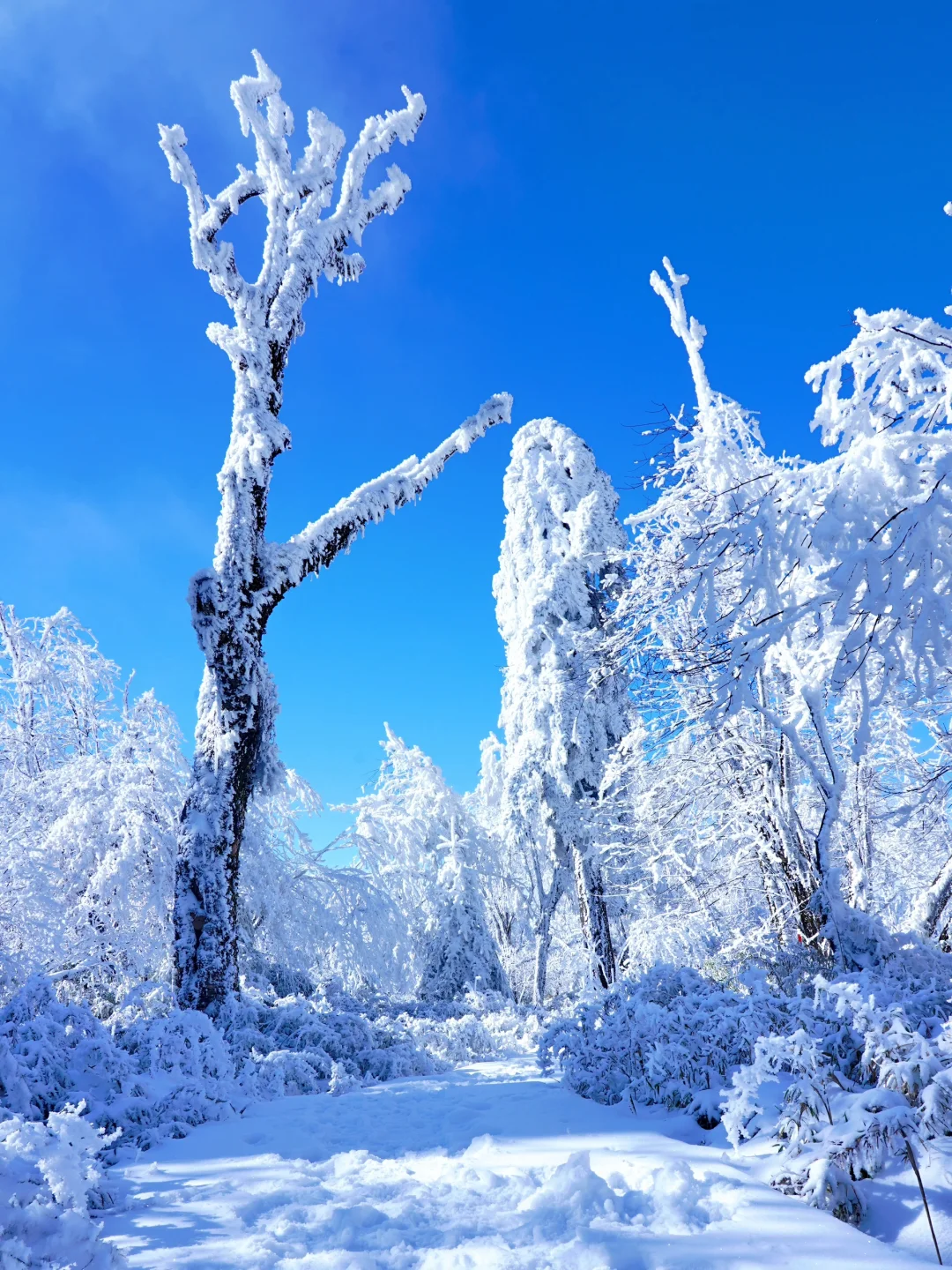 以为川西已经够美了，直到我去了这里…