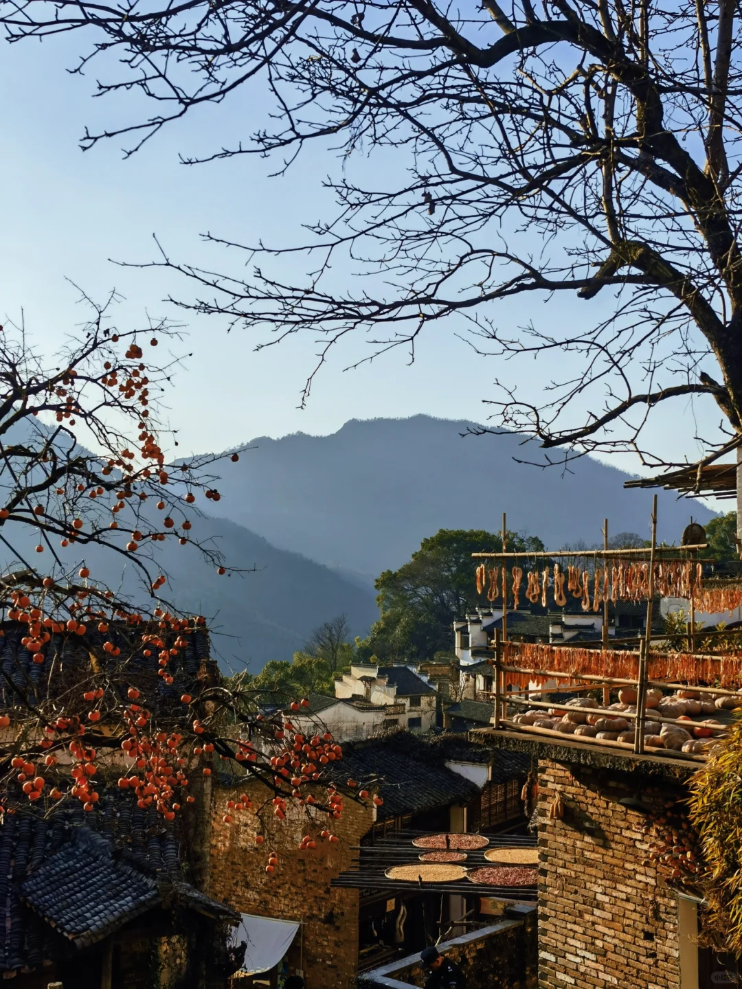 2025第一站|淡季天花板 南昌景德镇婺源