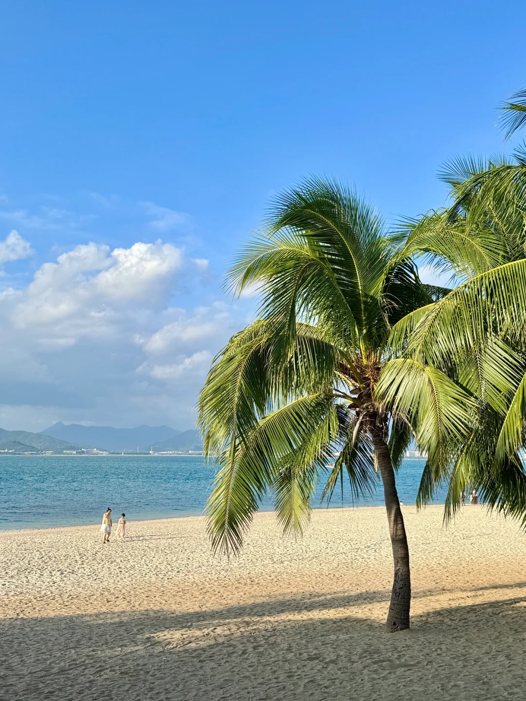 震惊😢这么全的西岛景点大合集（live版