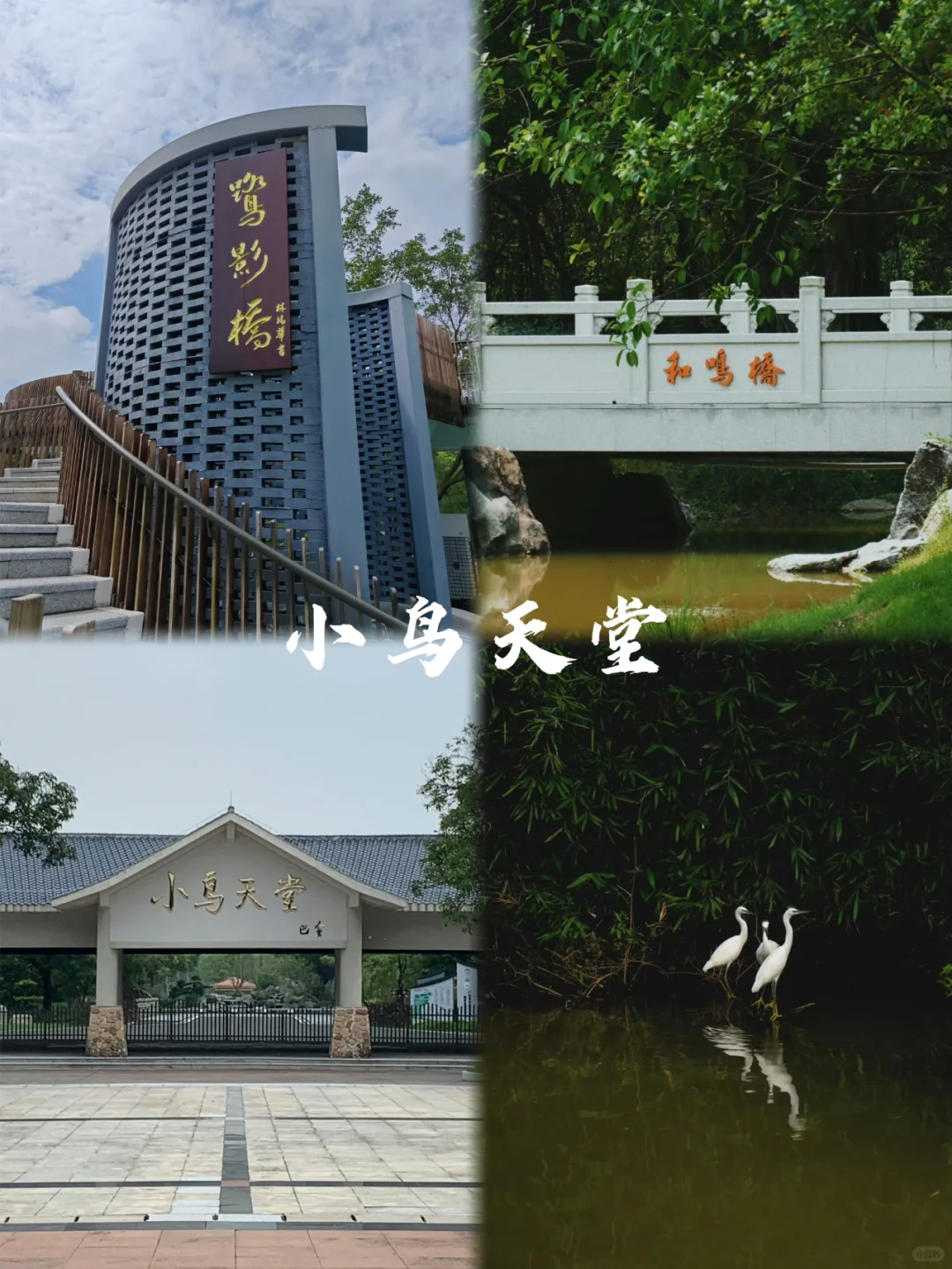 江门旅行🧳9大必打卡旅游景点看这里🔥