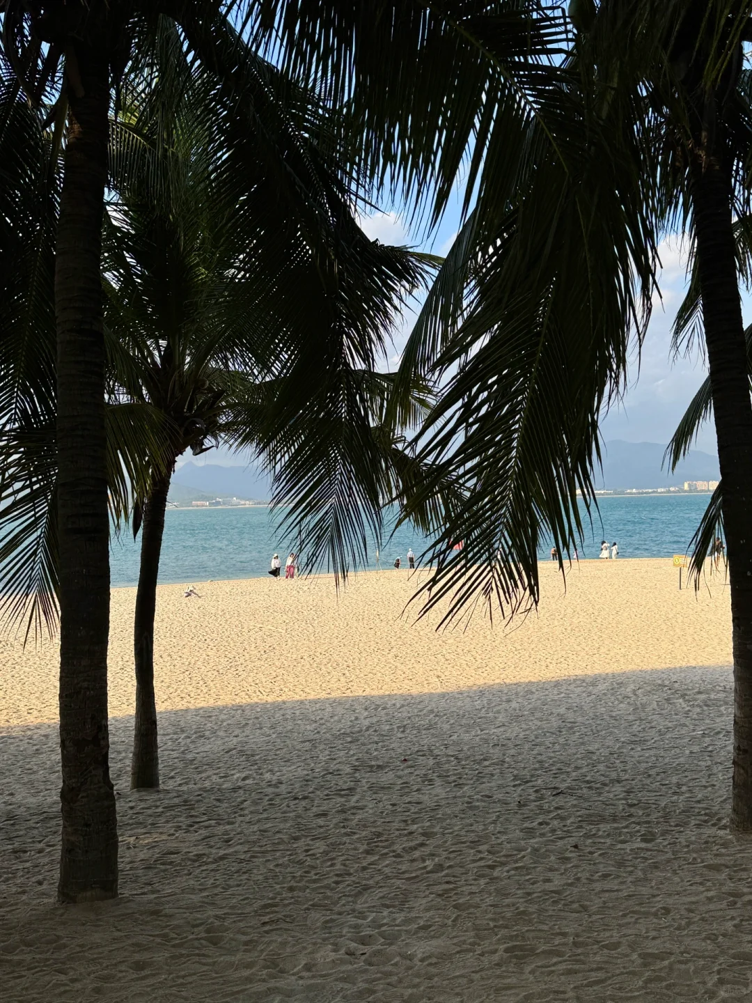 震惊😢这么全的西岛景点大合集（live版