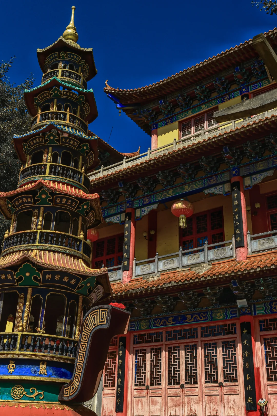 就爱去免费的景点