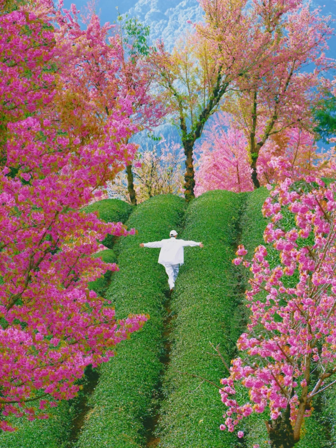 2024旅行结算｜生命就应该浪费在这样的地方