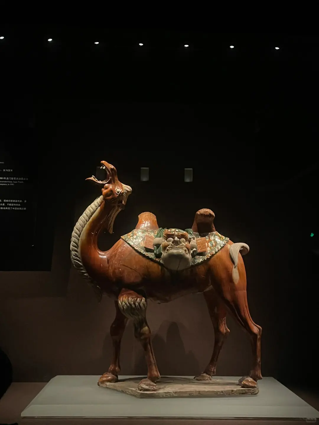 🎈洛阳 | 穿越千年的梦幻之旅✨