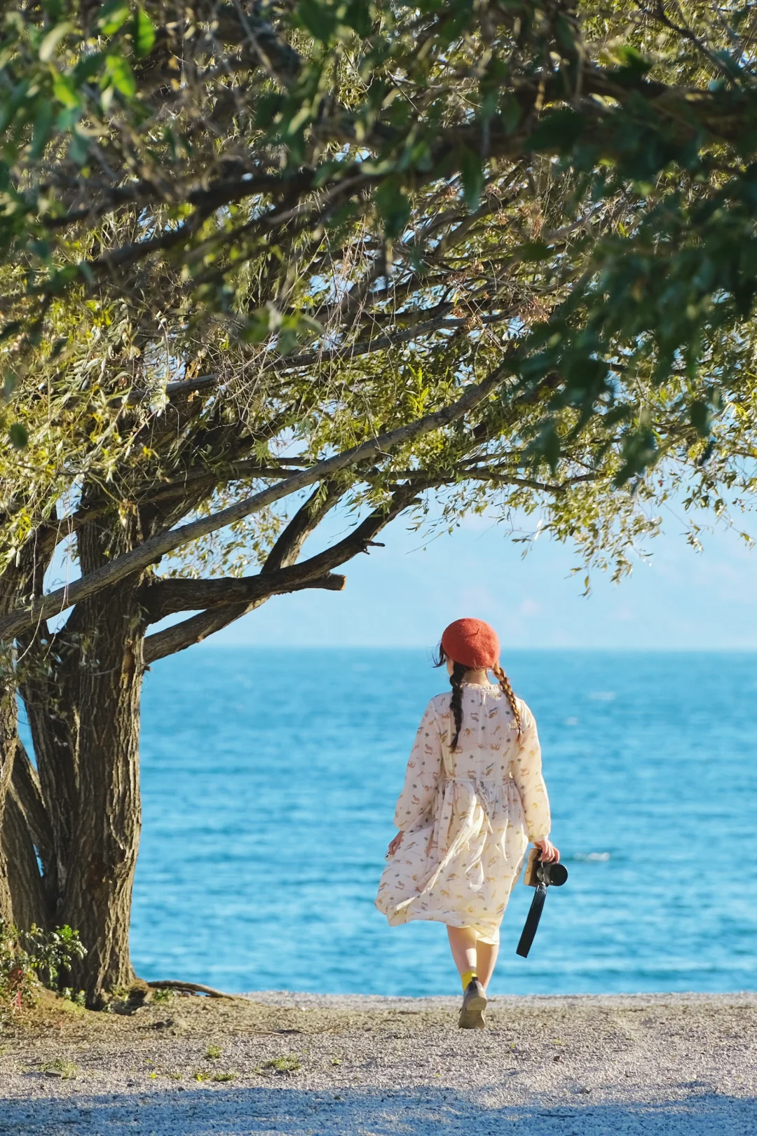 推荐几个适合春节旅行的国内小众地🙋我先来