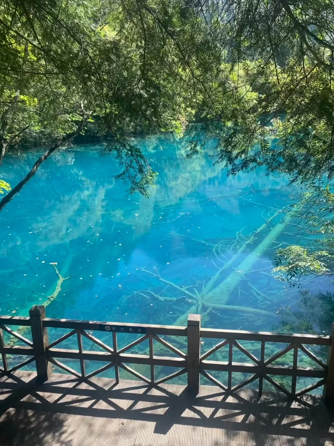 四川书路｜五天四晚正确打开方式✅精华路线