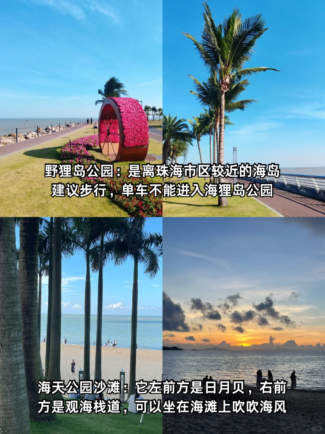 终于有人把珠海路线说明白了😭放心抄作业！！