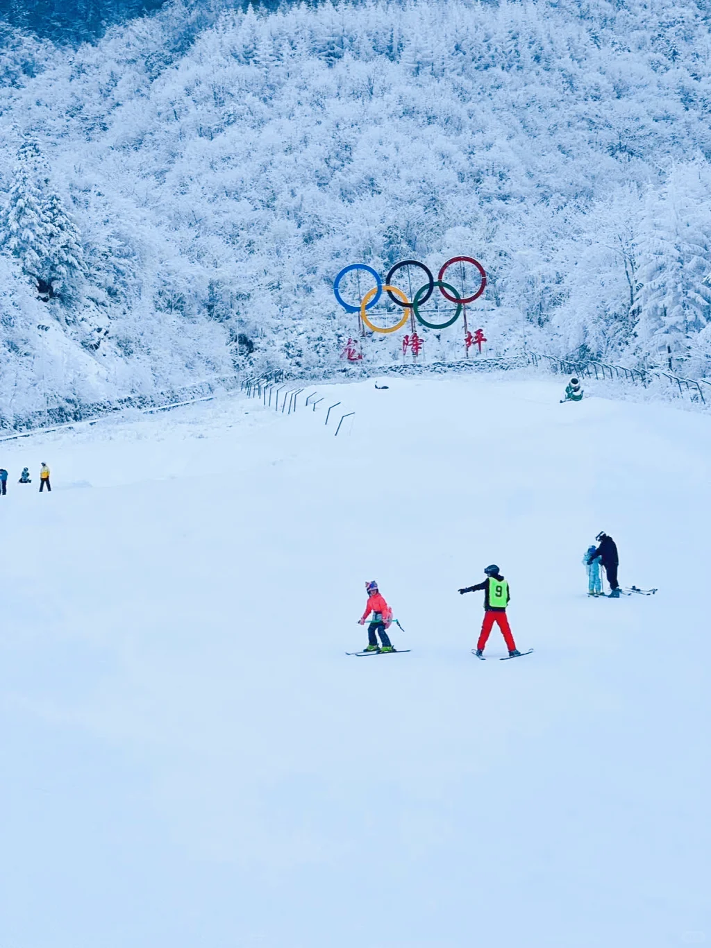 放弃东北了！广东300+直飞的神农架我先冲了