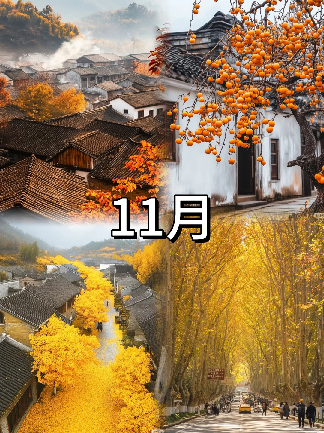 2025全年亲子旅行计划（1月-12月）超全面‼