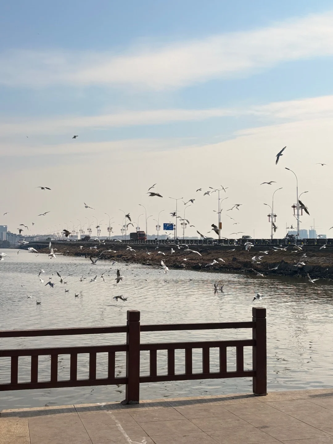 南昌本地人🙋‍♀花了一天时间整理的旅游攻略