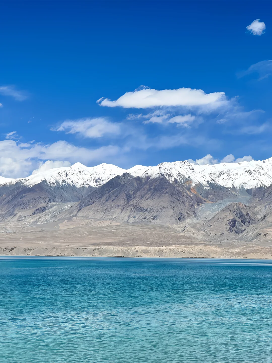 已经开始期待3-4月南疆的杏花啦！