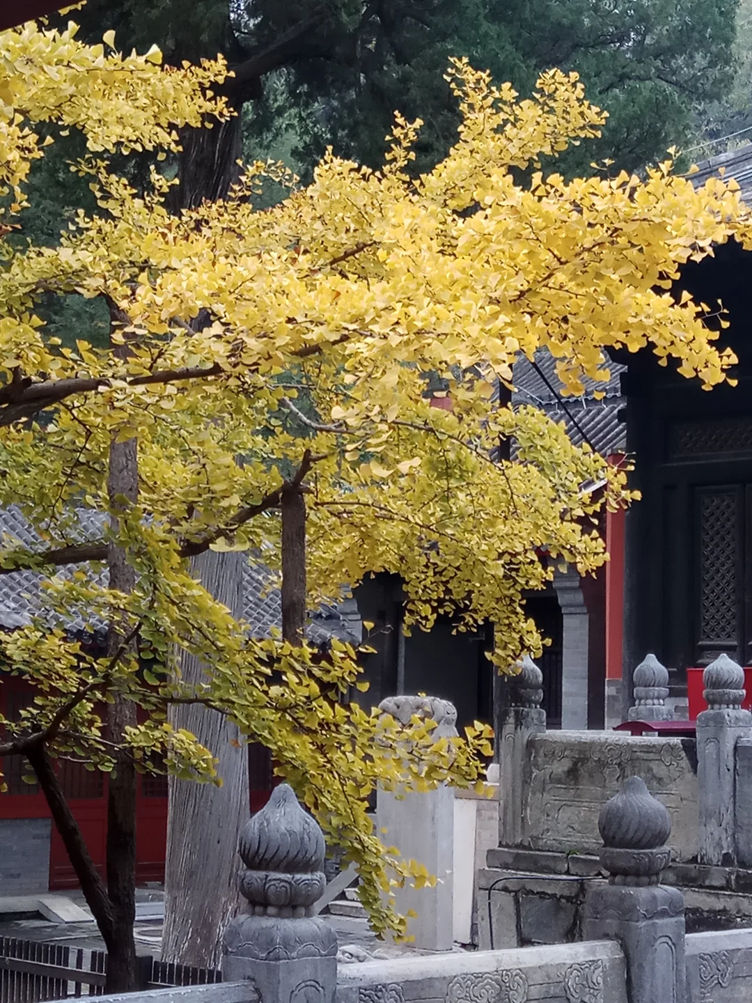 晒出你拍的景点照片