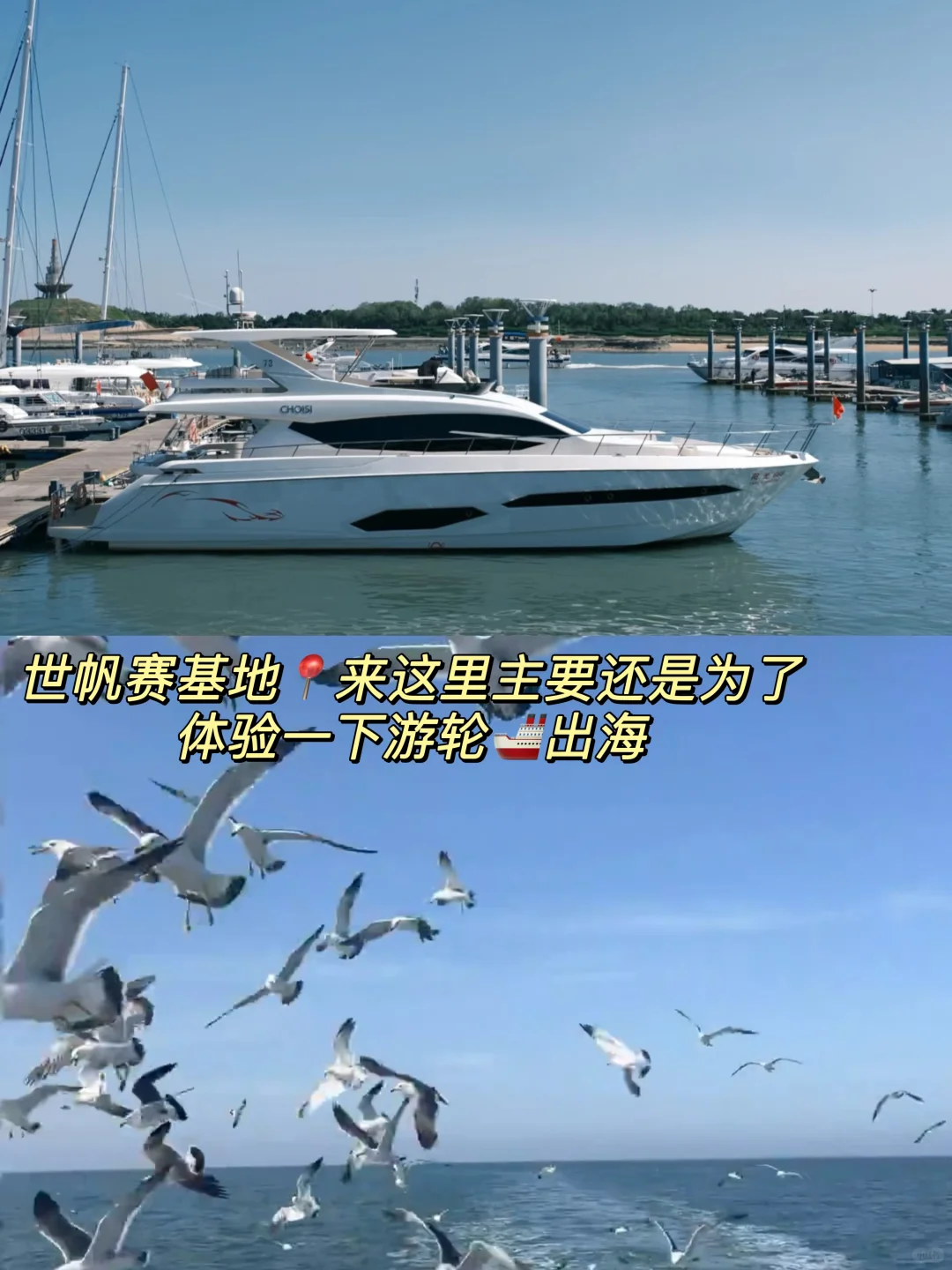 熬夜整理！日照9个不花钱景点！比收费的还出