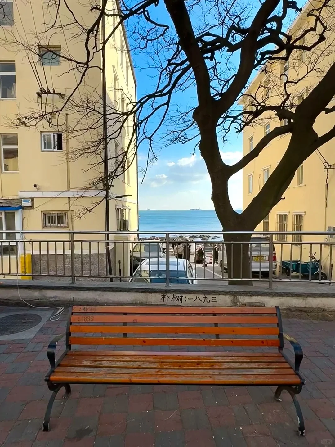 真心提醒寒假～2月去青岛的姐妹👭，听劝😭