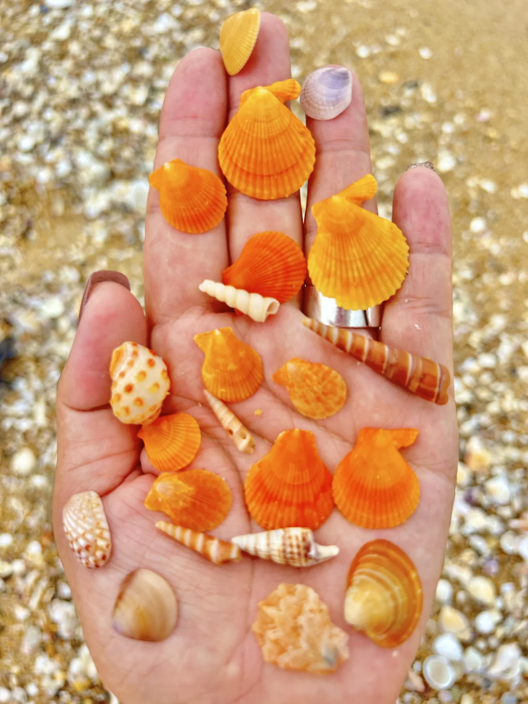 万宁2个赶海圣地🦀本地人都不知道的