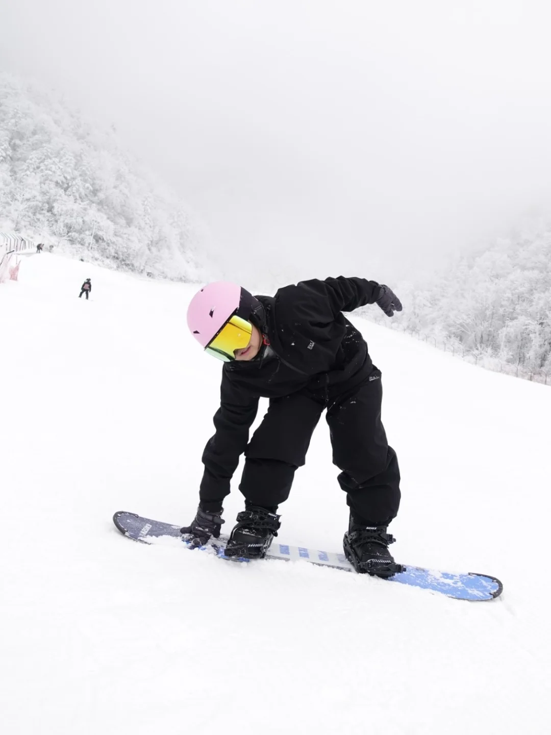 放弃东北了！广东300+直飞的神农架我先冲了