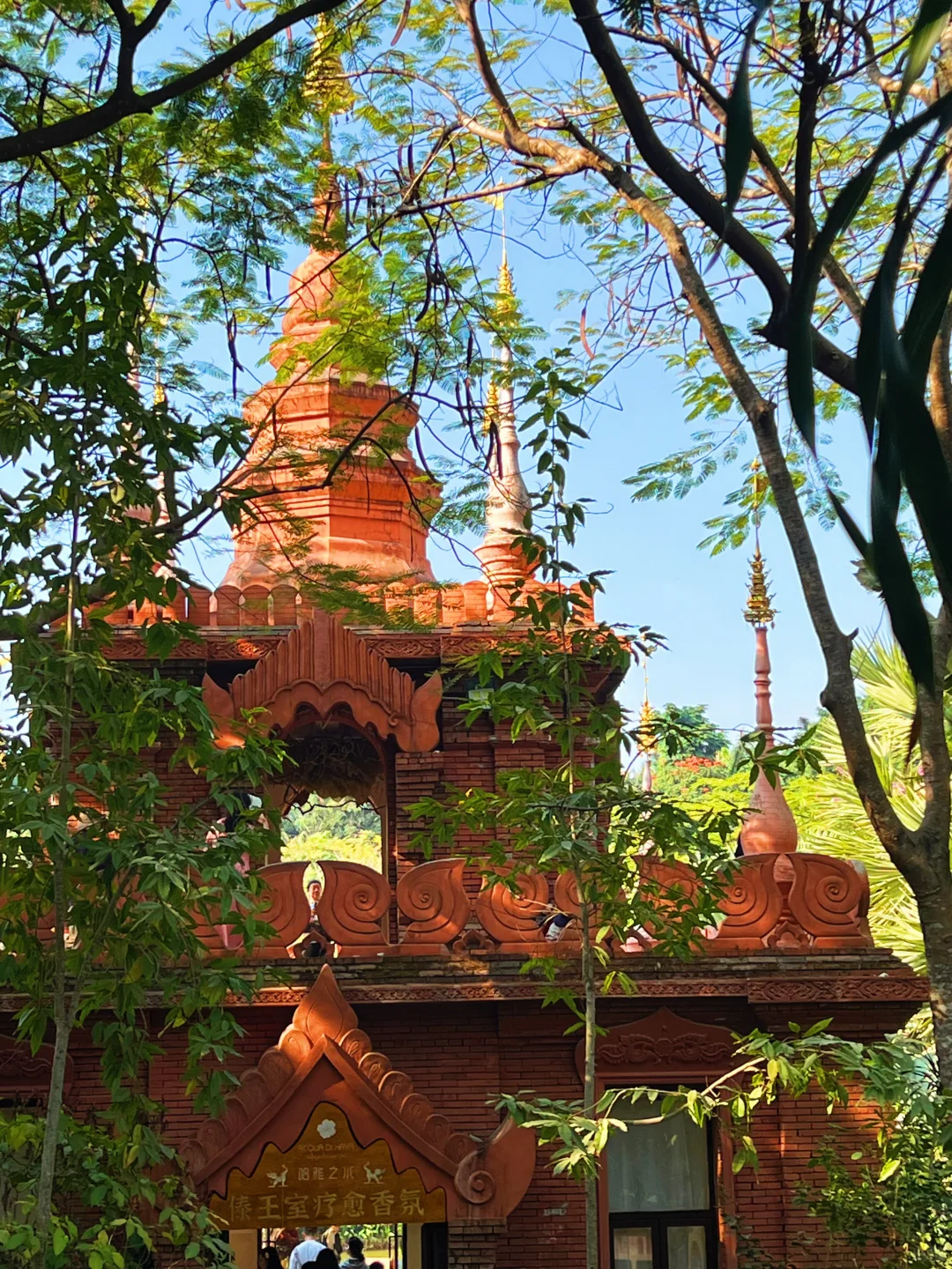 西双版纳🌴一定还会再去的宝藏暖冬小城‼️