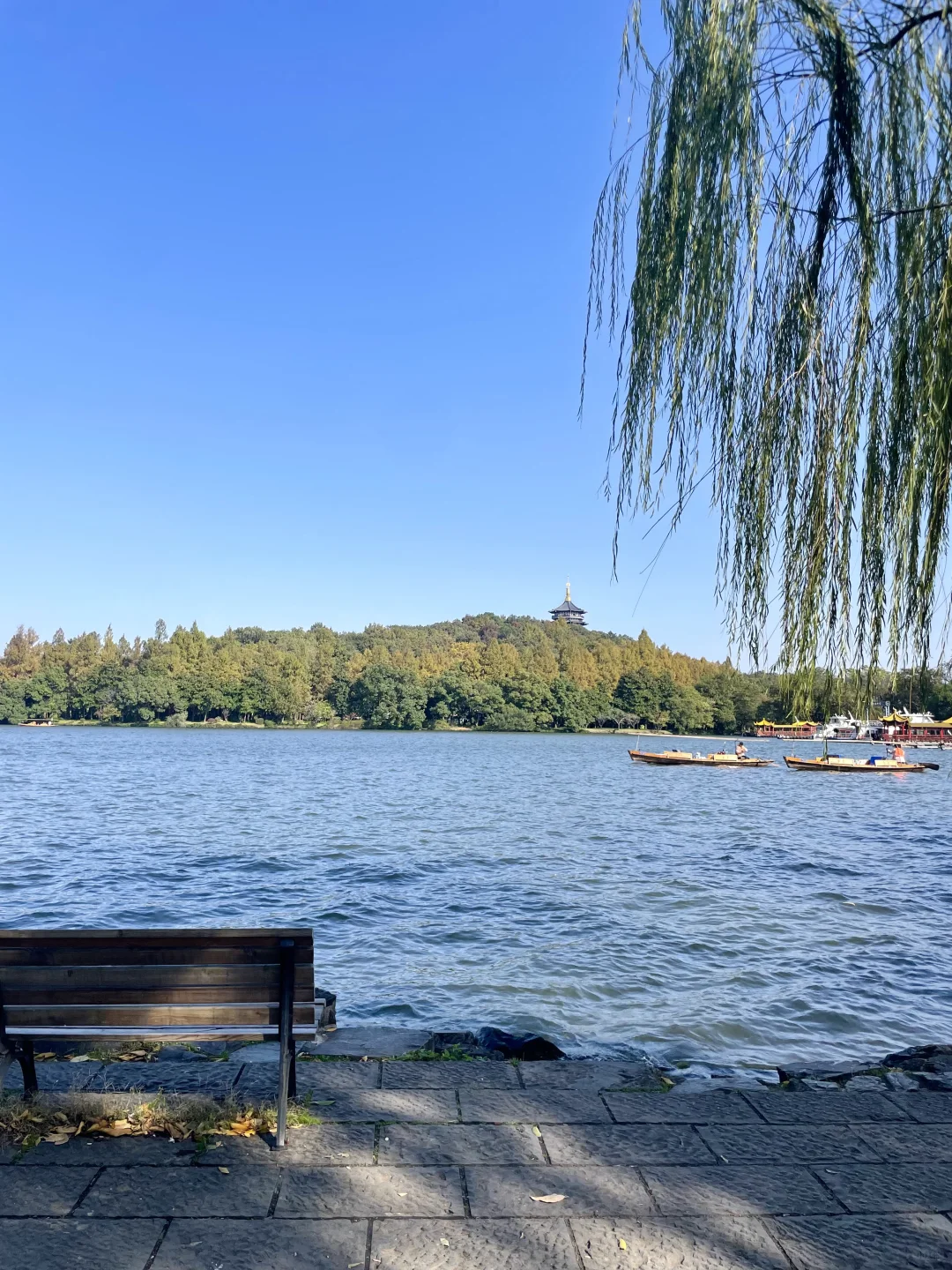 春节杭州旅游现状，说几句大实话❗