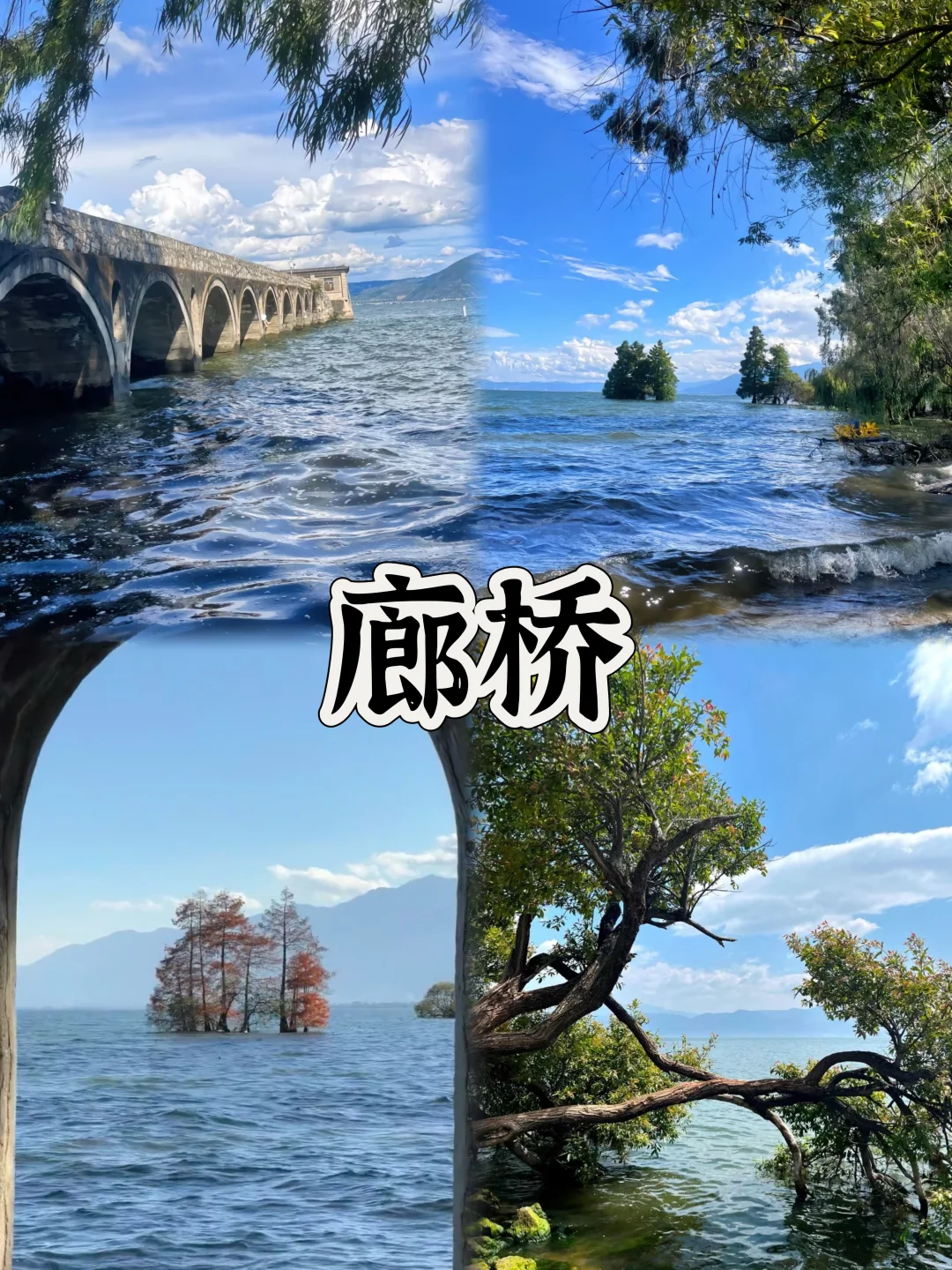 03女大📍大理/两日游不走回头路线攻略❗️