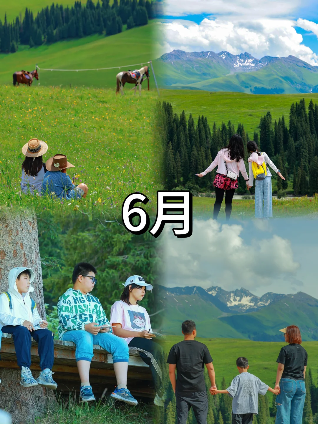 2025全年亲子旅行计划（1月-12月）超全面‼