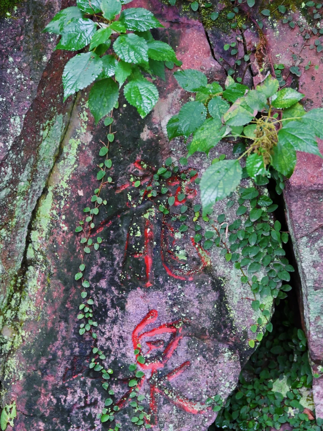 半天逛完浙江余姚7个景点的懒人版citywalk