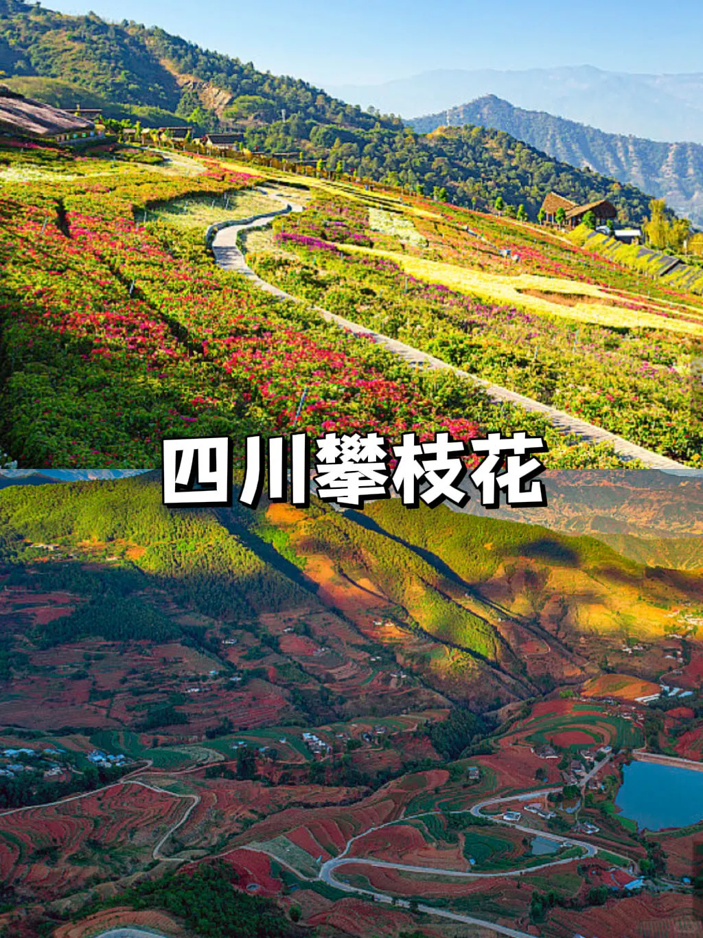 春节旅行计划🏮这些城市年味十足，可以冲🔥