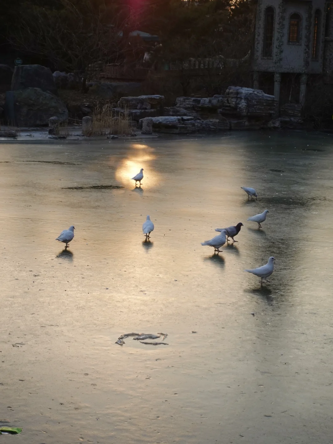 不是欧洲是天津！又是假装在国外的一天