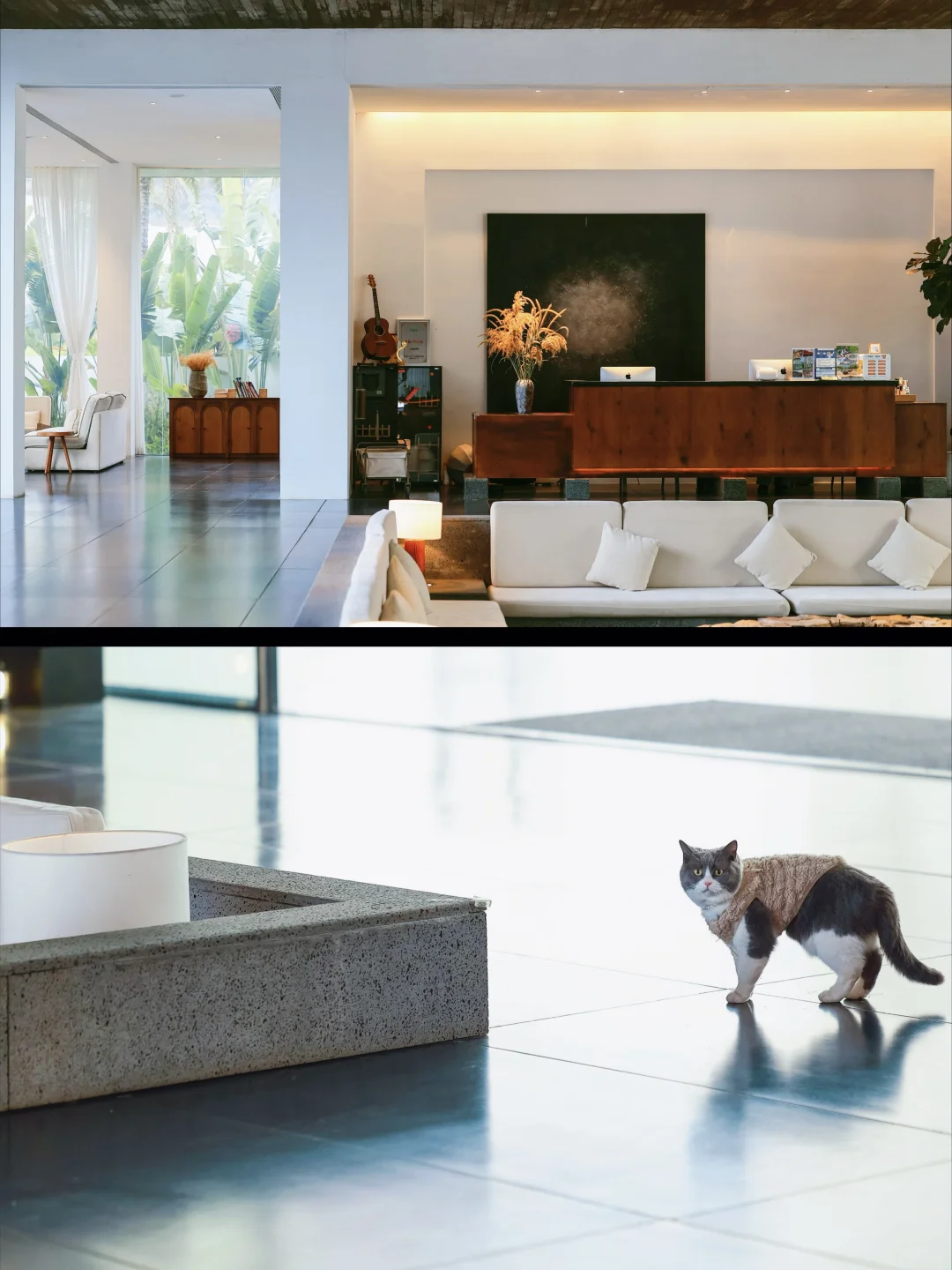 推荐一个真正冷门的避世小镇…反向旅行真香！