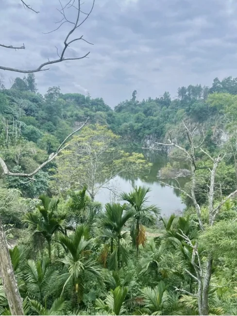 屯昌这三个景点你去过吗😎😎