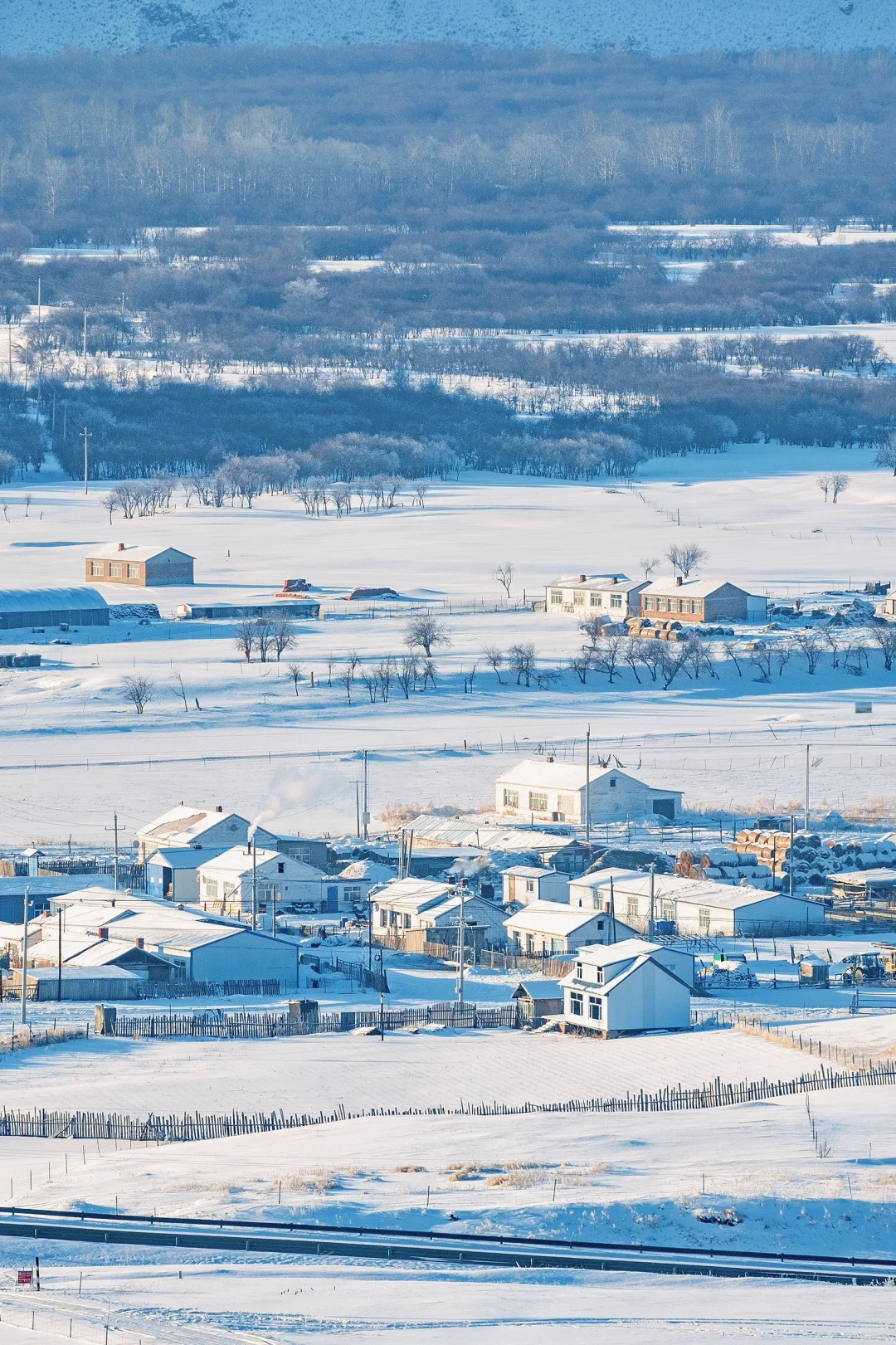 人生建议：1-2月一定要去次淡季的呼伦贝尔！