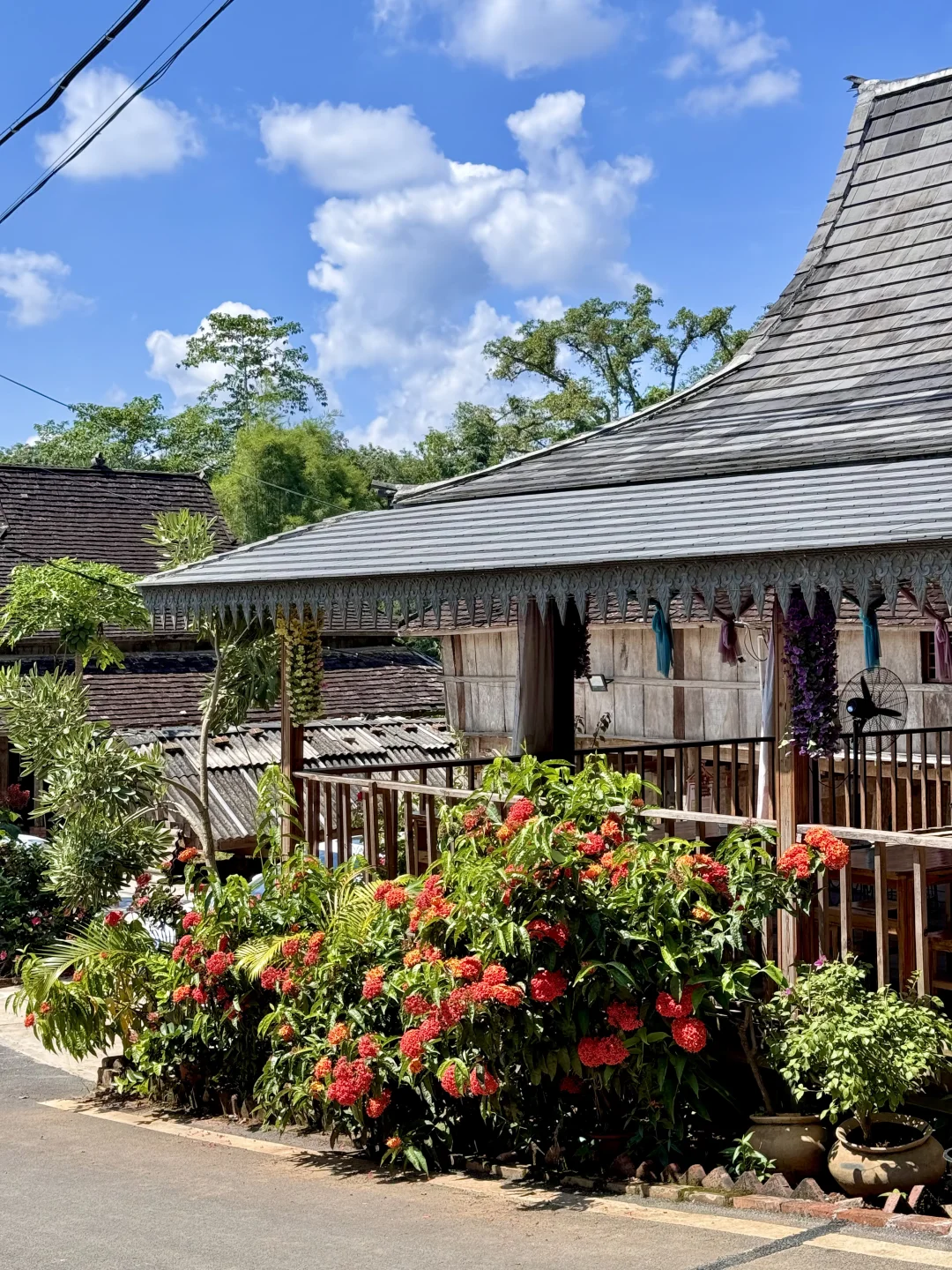 Live图的意义|曼远村就是向往生活的具象化