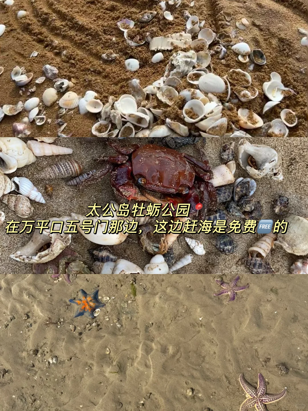 熬夜整理！日照9个不花钱景点！比收费的还出