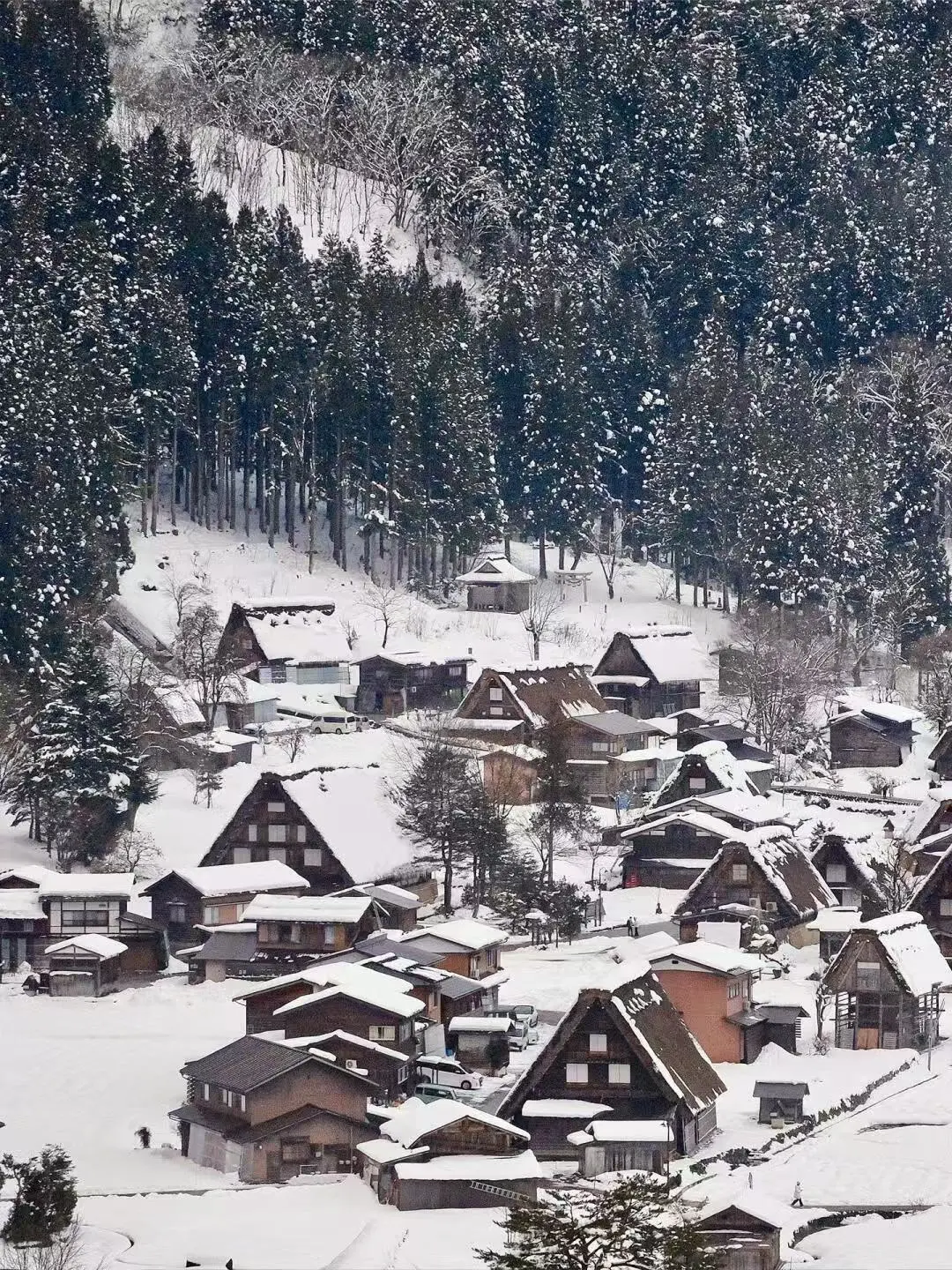 我以为富士山镰仓够美了，直到我去了