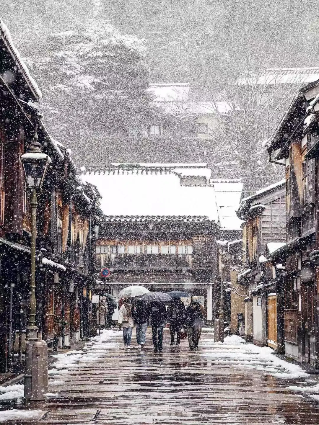 我以为富士山镰仓够美了，直到我去了