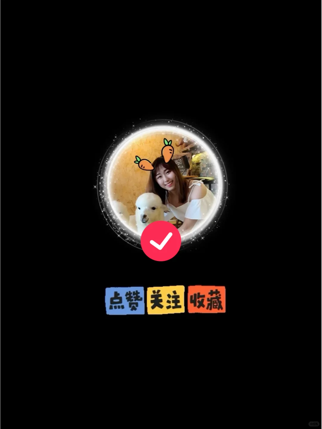 大连冬季旅游4-6日保姆级攻略｜春节去大连