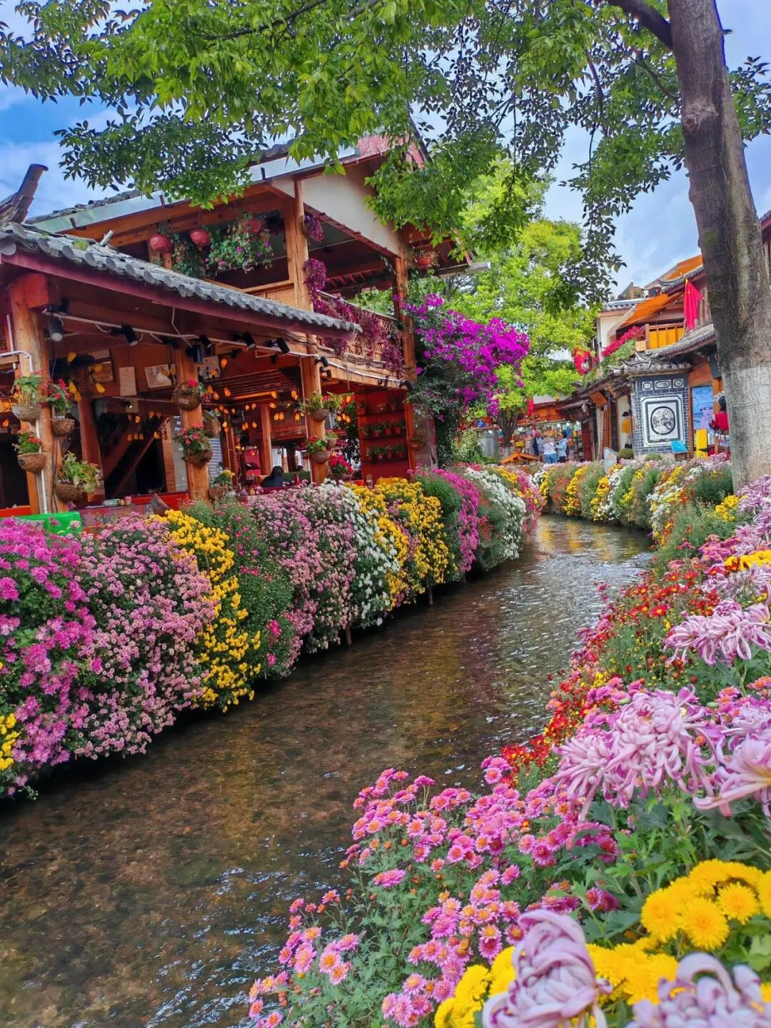 丽江淡季来了😭真的是游客天堂‼️