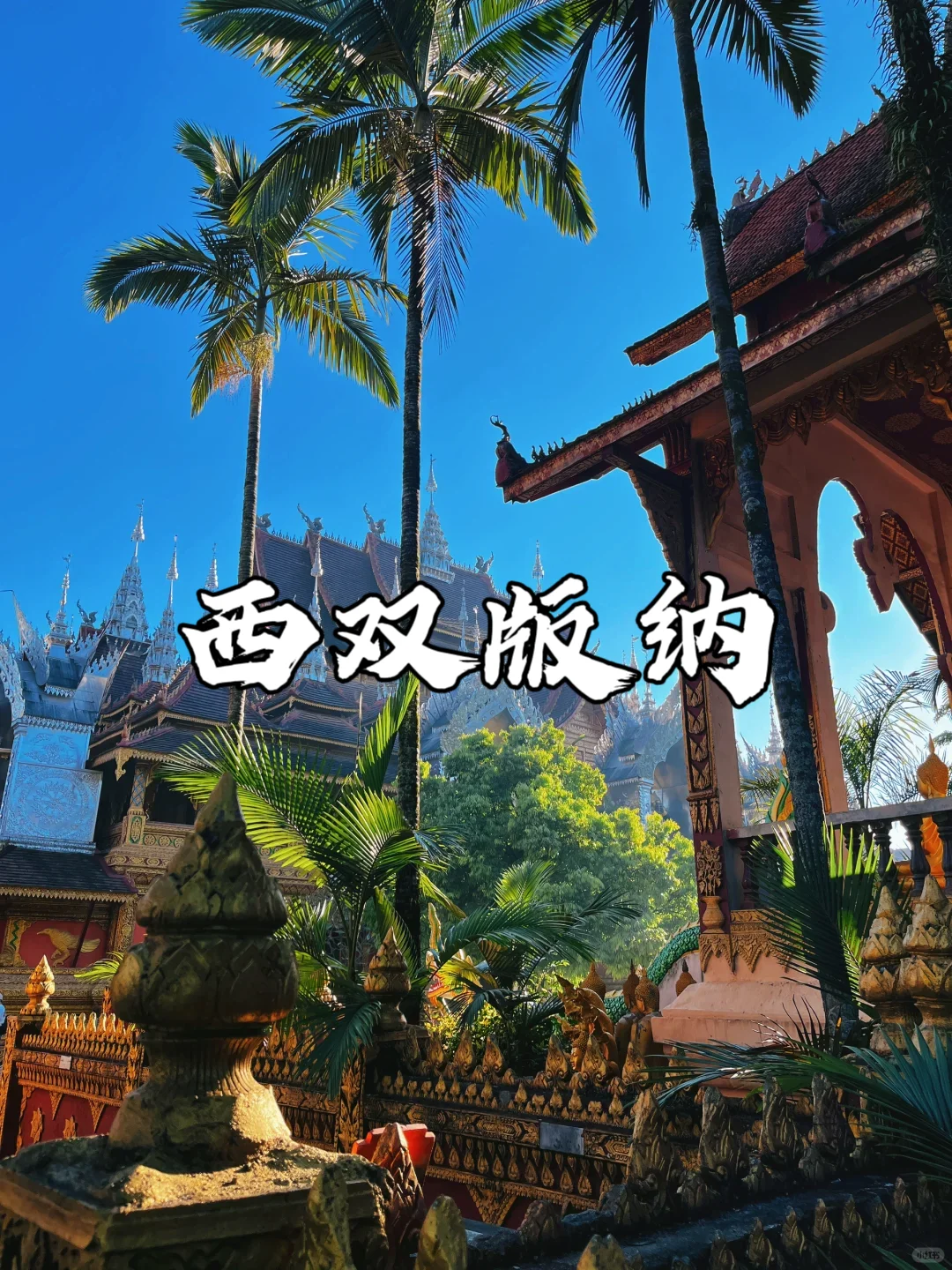 适合冬季带娃和老人避寒的9个地方❗看过来