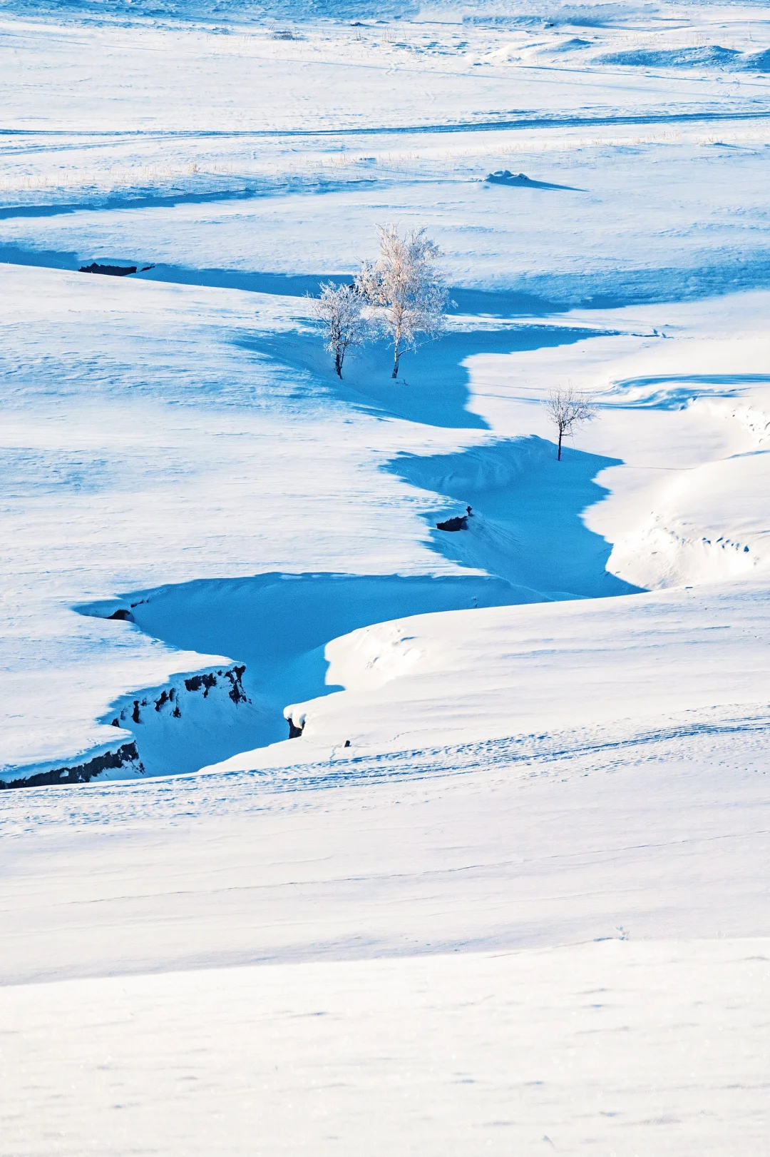 人生建议：1-2月一定要去次淡季的呼伦贝尔！