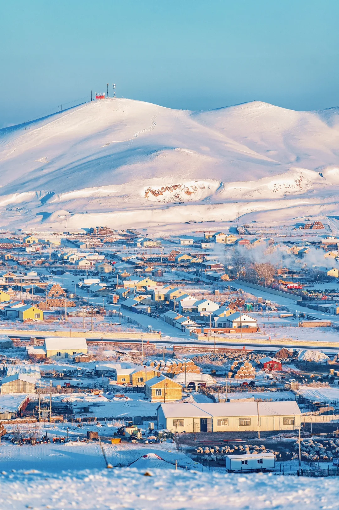 人生建议：1-2月一定要去次淡季的呼伦贝尔！