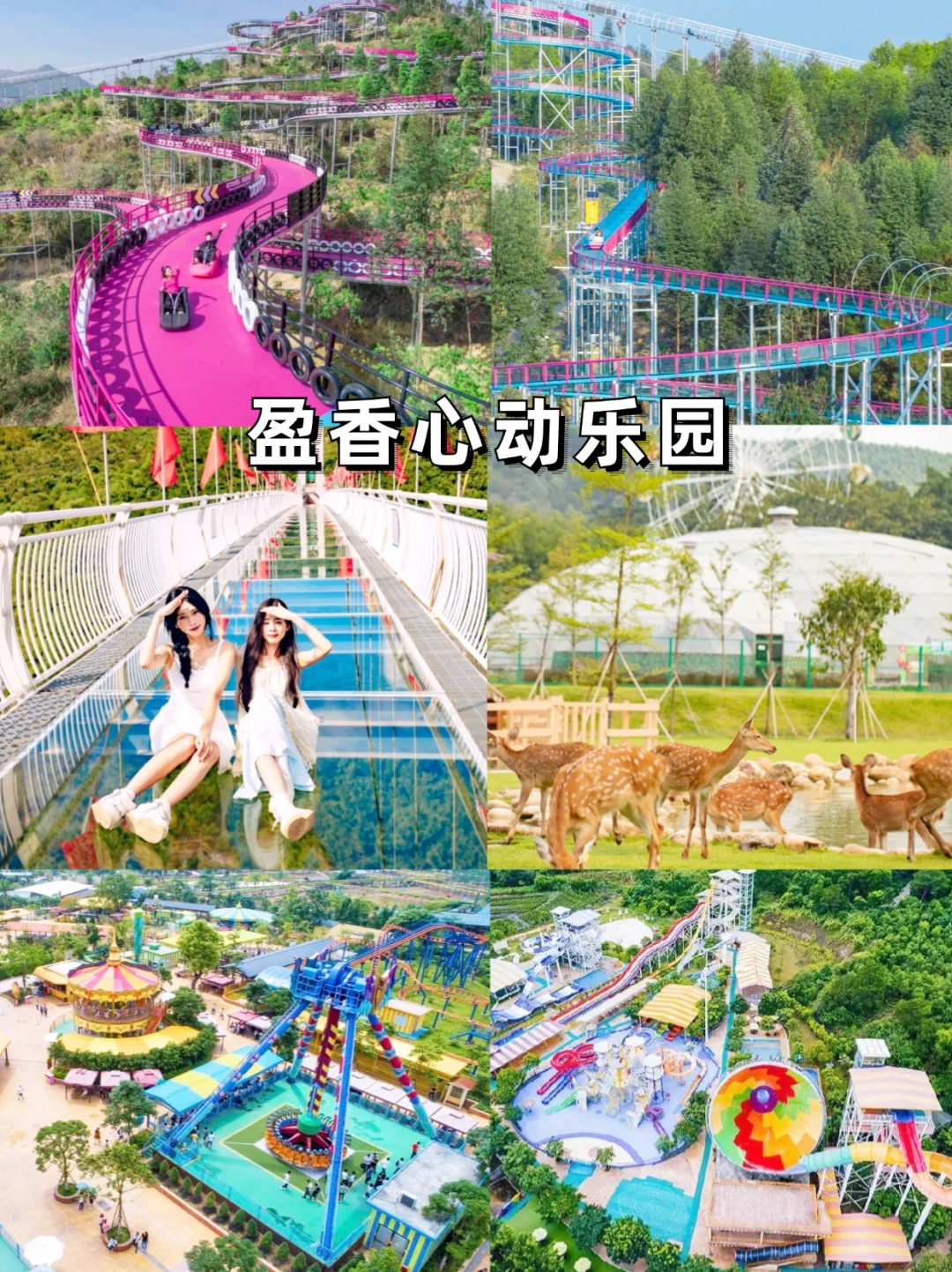 佛山春节旅游10大必去景点｜解锁岭南年味