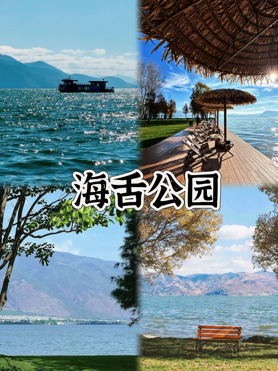 03女大📍大理/两日游不走回头路线攻略❗️